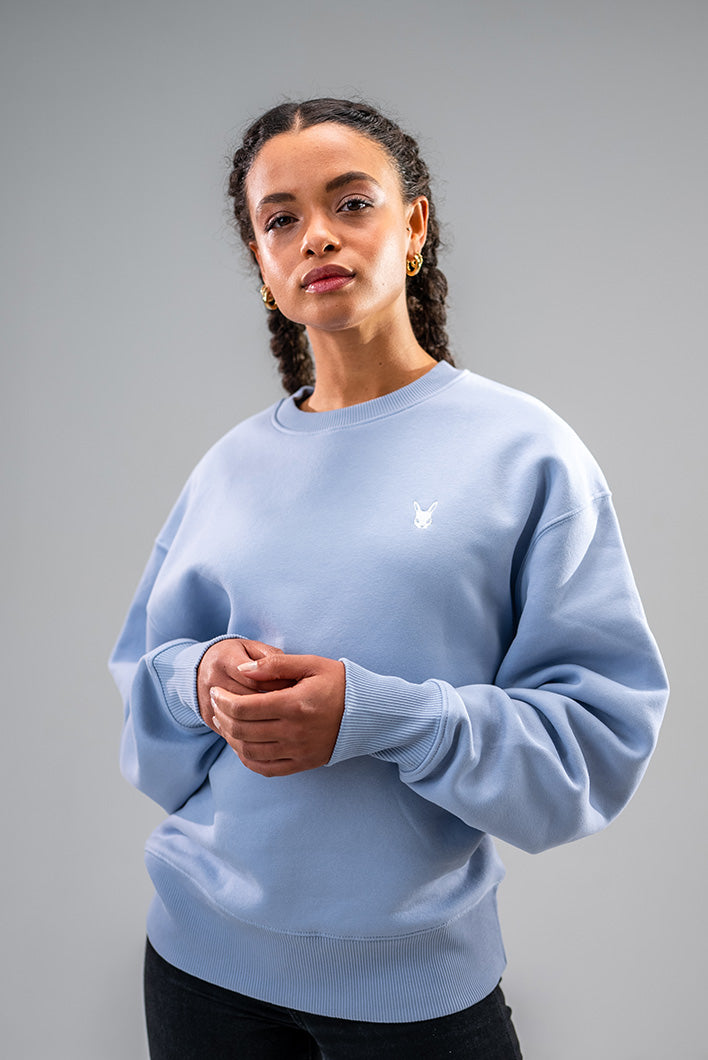 Ladies blue best sale sweatshirt