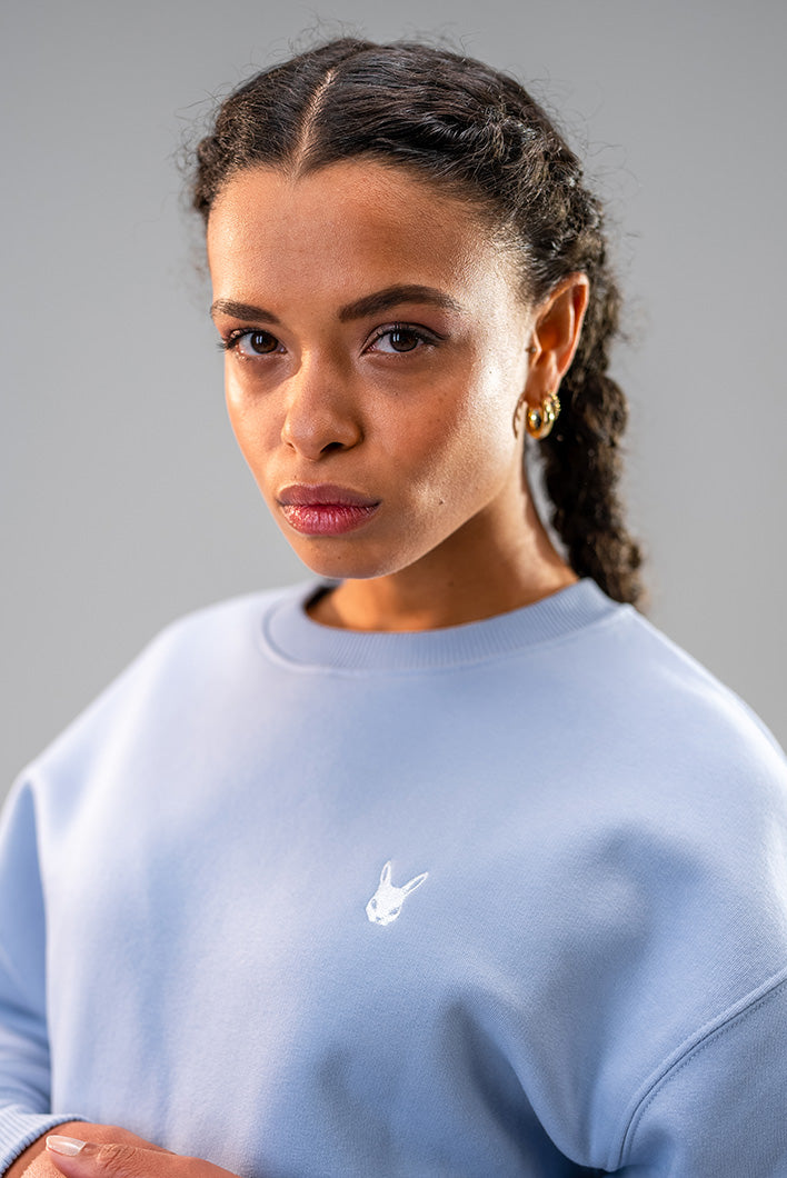Ladies baby sales blue jumper